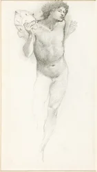 Study of Perseus for the 